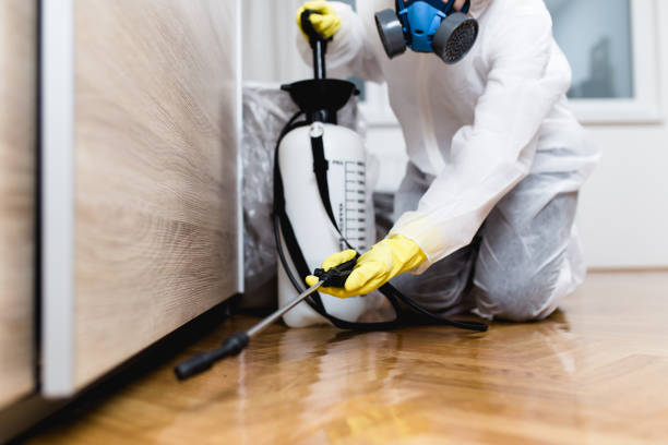 Reliable Lakeland, TN Pest Control Solutions