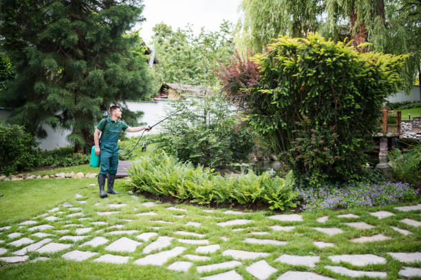 Best Best Pest Control Companies  in Lakeland, TN