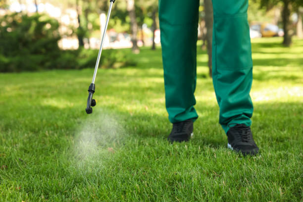 Best Insect Control  in Lakeland, TN